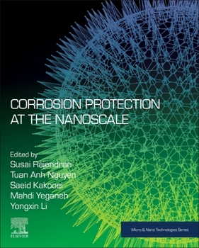 Paperback Corrosion Protection at the Nanoscale Book