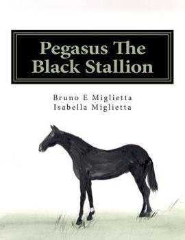 Paperback Pegasus The Black Stallion Book
