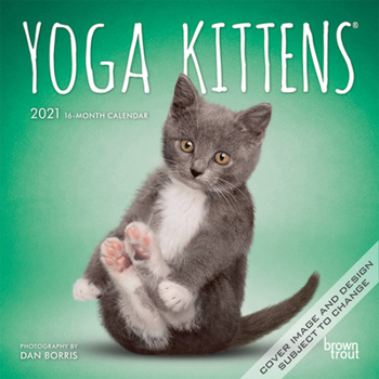 Calendar Yoga Kittens 2021 Mini 7x7 Book