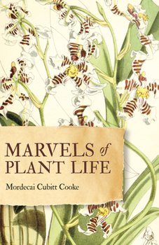 Marvels of Plant Life: Curiosities of Vegetation