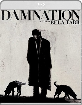 Blu-ray Damnation [German] Book
