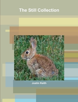 Paperback The Still Collection Book