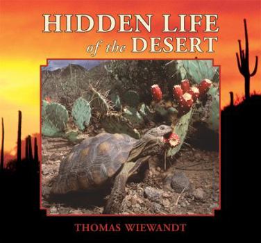 Paperback Hidden Life of the Desert Book