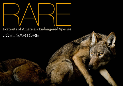 Hardcover Rare: Portraits of America's Endangered Species Book