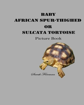 Paperback Baby African Spur-Thighed or Sulcata Tortoise Picture Book