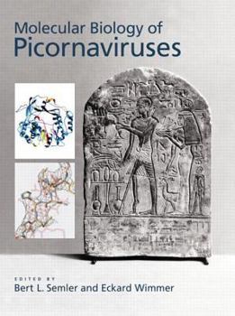 Hardcover Molecular Biology of Picornavirus Book