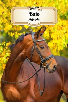 2020 Baio Agenda: 107 Pagine | Dimensioni DIN A5 | Pianificatore Settimanale | 12 Mesi | Due Pagine Per Settimana | Calendario | Diario | Cavallo (Italian Edition)