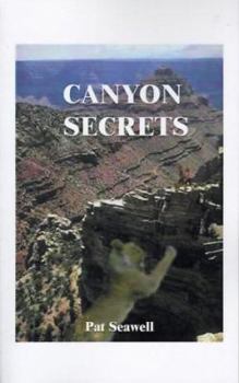 Paperback Canyon Secrets Book