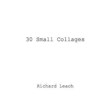 Paperback 30 Small Collages Book