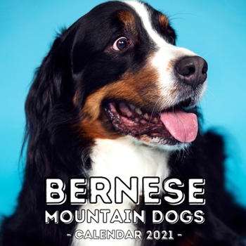 Bernese Mountain Dogs: 2021 Wall Calendar, Cute Gift Idea For Bernese Lovers Or Owners Men And Women