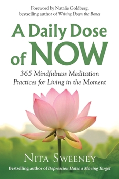 Paperback A Daily Dose of Now: 365 Mindfulness Meditation Practices for Living in the Moment Book