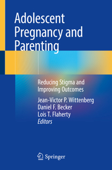 Paperback Adolescent Pregnancy and Parenting: Reducing Stigma and Improving Outcomes Book