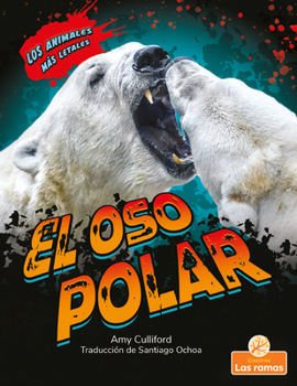 L'Ours Polaire