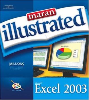 Paperback Microsoft Excel 2003 Book
