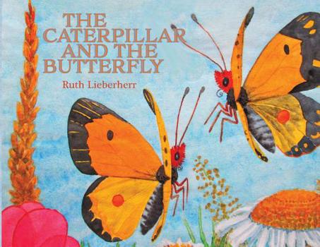 Paperback The Caterpillar and the Butterfly Book