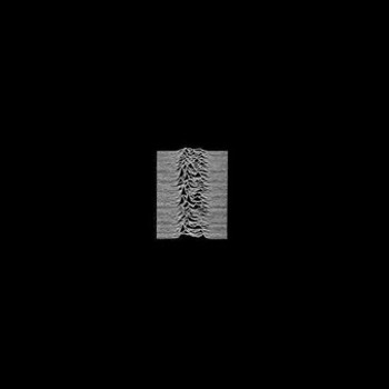 Vinyl Unknown Pleasures Book