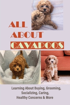 Paperback All About Cavapoos: Learning About Buying, Grooming, Socializing, Caring, Healthy Concerns & More: How To Breed Cavapoo Book