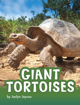 Paperback Giant Tortoises Book