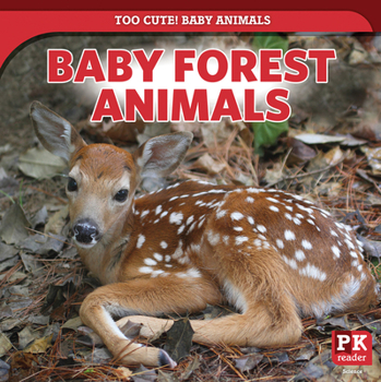 Paperback Baby Forest Animals Book