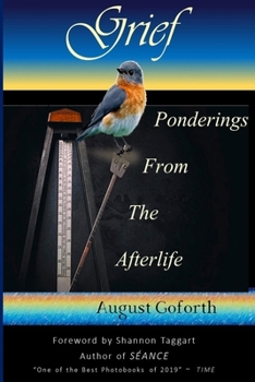 Paperback Grief: Ponderings From The Afterlife Book