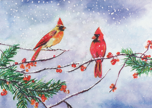 Hardcover Cardinals & Berries Deluxe Boxed Holiday Cards Book
