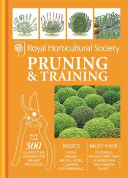 Hardcover Pruning and Training Book