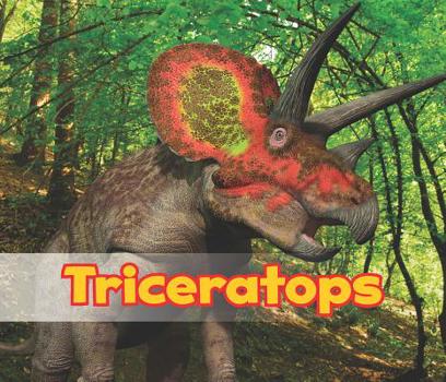 Hardcover Triceratops Book