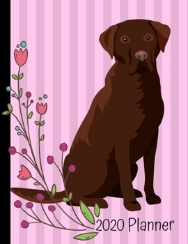 Paperback 2020 Planner: Chocolate Labrador Retriever Dog Pink 2020 Monthly Planner Organizer Undated Calendar And ToDo List Tracker Notebook Book