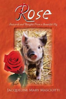 Paperback Rose - Postcards and Thoughts from a Beautiful Pig Book