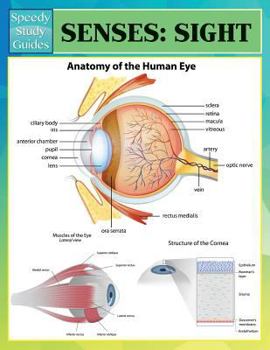 Paperback Senses: Sight (Speedy Study Guides) Book