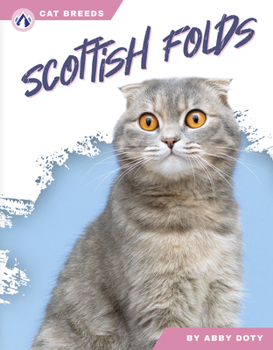 Paperback Scottish Folds Book