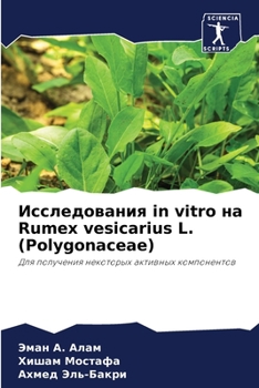 Paperback Исследования in vitro на Rumex vesicarius L. (Polygonaceae) [Russian] Book