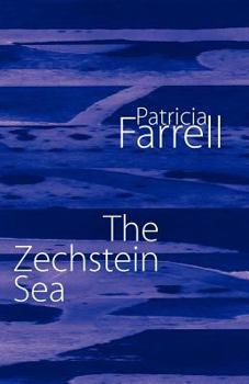 Paperback The Zechstein Sea Book
