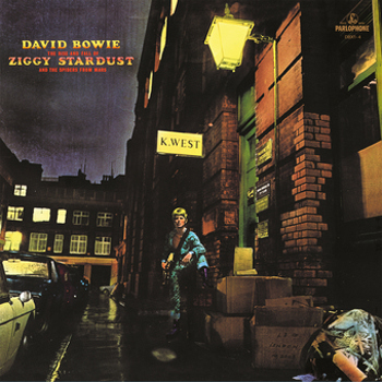 Vinyl Rise and Fall of Ziggy Stardust and The Spiders fr Book