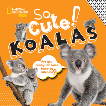 Hardcover So Cute!: Koalas Book