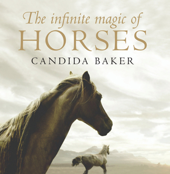Paperback The Infinite Magic of Horses Book