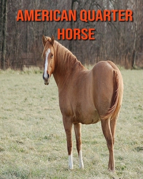 Paperback American Quarter Horse: Amazing Pictures & Fun Facts on Animals in Nature Book