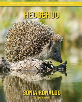 All About Hedgehog: Fascinating Hedgehog Facts for Kids with Stunning Pictures!