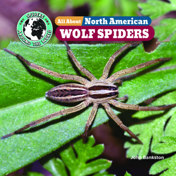 All about North American Wolf Spiders (Spiders Around the World: North America)