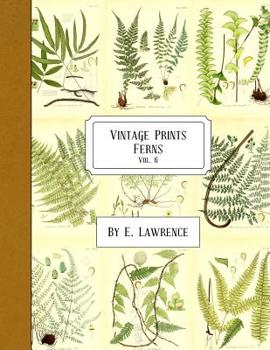 Paperback Vintage Prints: Ferns: Vol. 6 Book