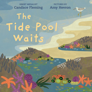 Hardcover The Tide Pool Waits Book