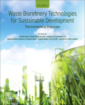 Paperback Waste Biorefinery Technologies for Sustainable Development: Volume 1: Thermochemical Processes Book