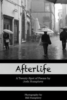 Paperback Afterlife Book