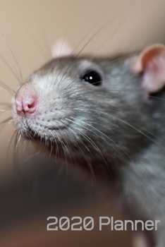 2020 Planner (6x9inch): Cute Rat Diary; Cute Rat Planner; I Love Rats Book; 6x9inch Book with a weekly Calendar view