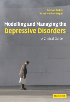 Paperback Modelling Managing Depressive Order Book