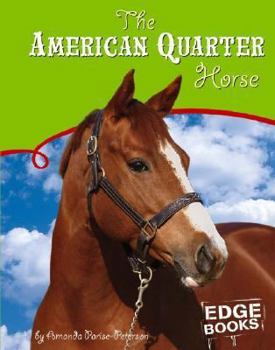 Hardcover The American Quarter Horse Book