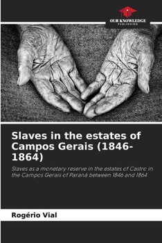 Paperback Slaves in the estates of Campos Gerais (1846-1864) Book