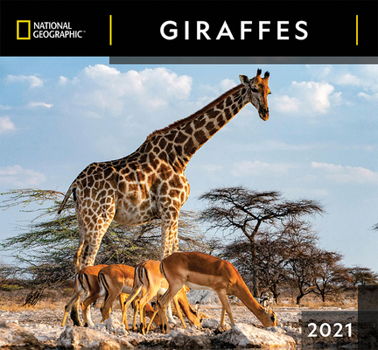 Calendar Cal 2021- National Geographic Giraffes Wall Book