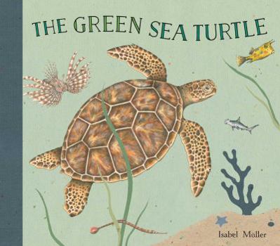 Hardcover The Green Sea Turtle Book