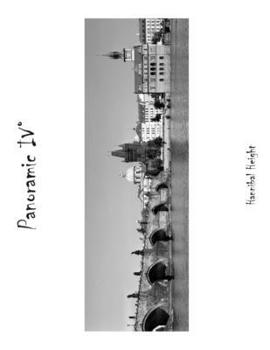 Paperback Panoramic IV° Book